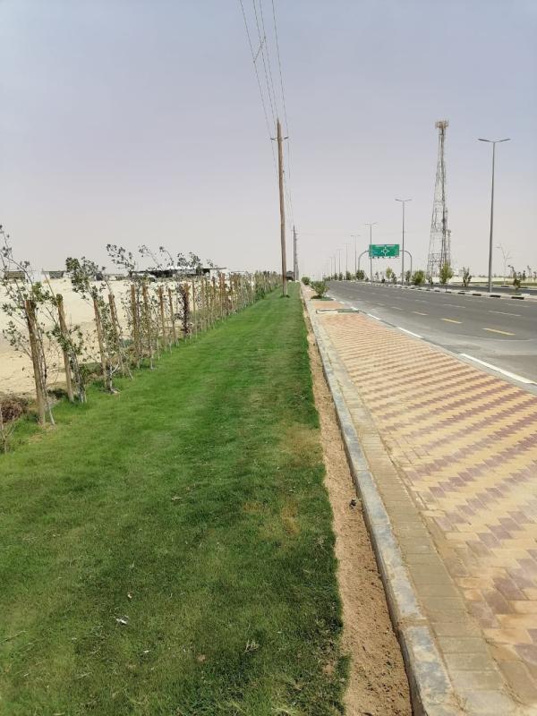 صيانة المسطحات الخضراء بحدائق عين دار