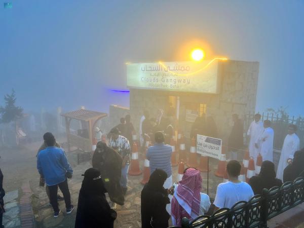 «ممشى الضباب»..تجربة ساحرة للتجول بين السحاب