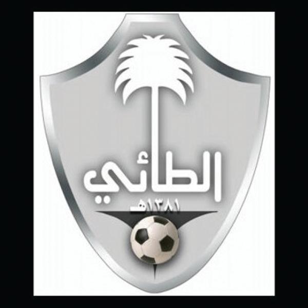 .. مسميات وأرقام«المحترفين»