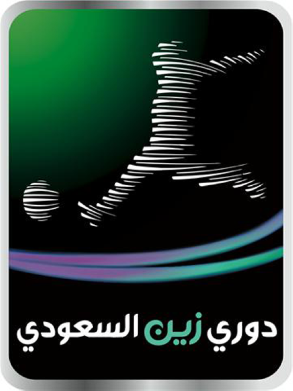 .. مسميات وأرقام«المحترفين»