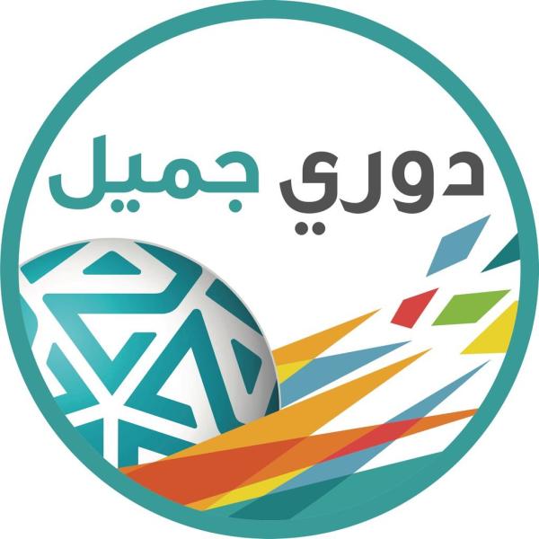 .. مسميات وأرقام«المحترفين»