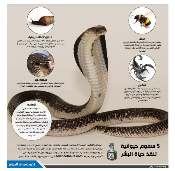 5 سموم حيوانية تنقذ حياة البشر