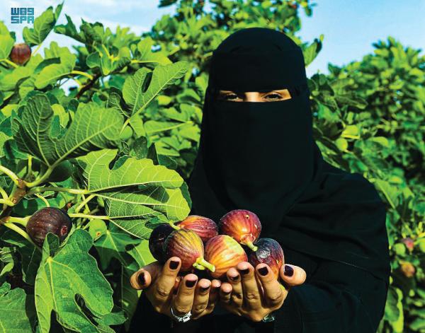 حملة لتعظيم الاستفادة من الفواكه الموسمية