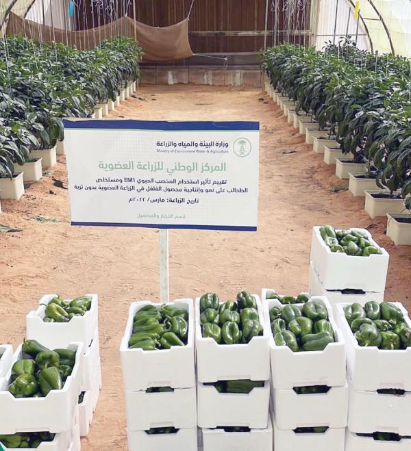 265 % ارتفاعا للزراعات العضوية بالمملكة في 10 سنوات