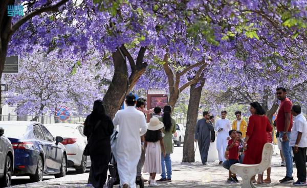 عسير.. أيقونة السياحة الصيفية في المملكة والمنطقة العربية