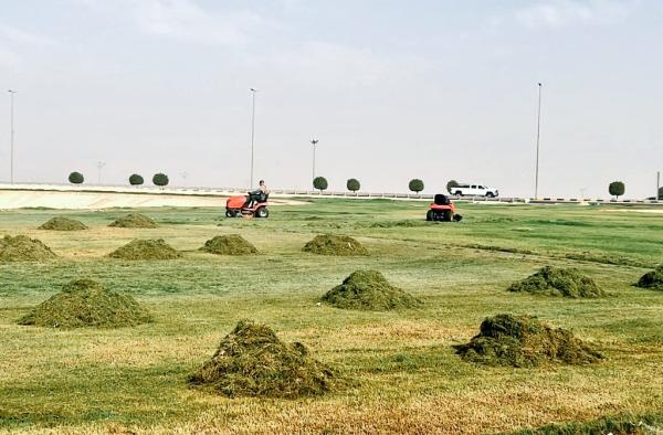 صيانة المسطحات الخضراء في مداخل النعيرية
