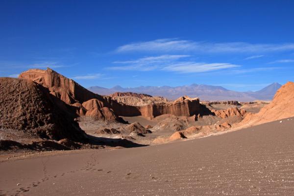 بعد أمطار غزيرة.. ماذا يحدث في صحراء تشيلي؟