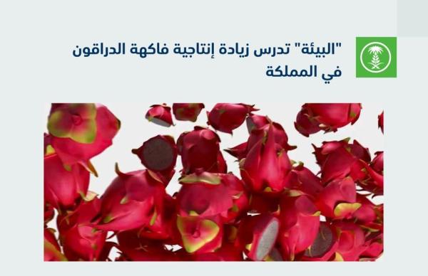 دراسة زيادة إنتاجية «الدراقون» في المملكة.. فما السبب؟