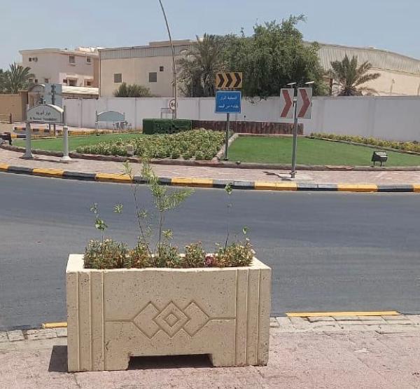 طرح 3 مشاريع تنموية حيوية في الخفجي