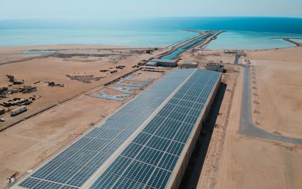 «مدينة الملك عبدالله» عضواً في الميثاق العالمي للأمم المتحدة