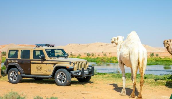 ضبط 7 مواطنين ومقيمين ارتكبوا مخالفات رعي