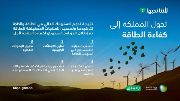 5 مجالات لتحول المملكة لكفاءة الطاقة