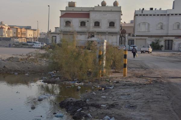 محافظة البيضاء..خدمات ناقصة وتطوير مرتقب