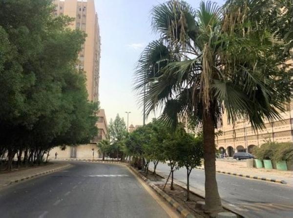 معالجة التشوهات البصرية بالحدائق والشوارع