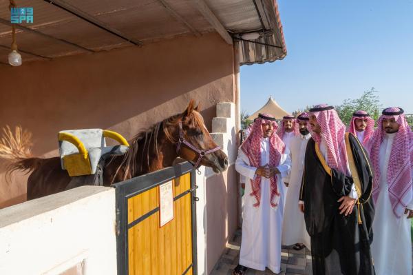 افتتاح مربط العليا للخيل العربية الأصيلة بسكاكا