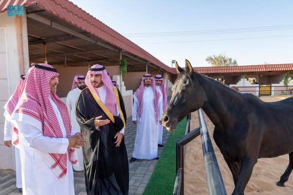 افتتاح مربط العليا للخيل العربية الأصيلة بسكاكا