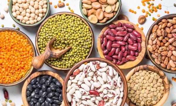 البقوليات- مشاع إبداعي