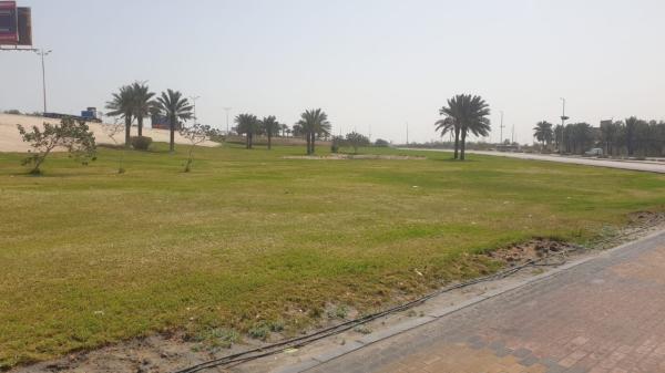 حملات لتشجير محميات ومتنزهات الجبيل