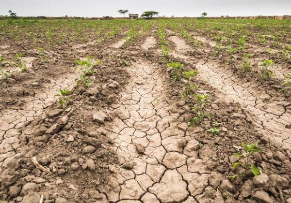 شتاينماير: أزمة الجوع عادت بكامل قوتها في الوقت الحالي