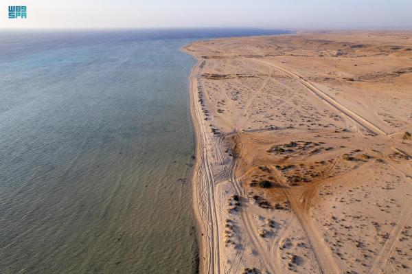 «شاطئ الهرابة».. وجهة الباحثين عن السياحة الشتوية بالوجه