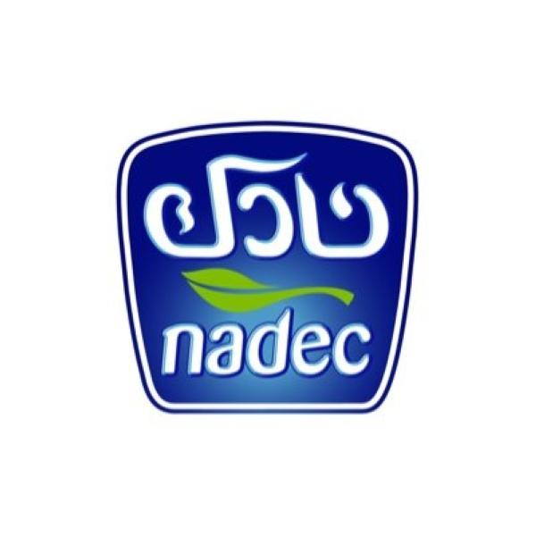 27.7 مليون ريال أرباح 'نادك' في 3 أشهر