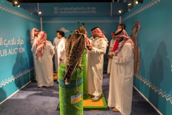 500 ألف ريال مبيعات الليلة الـ 17 من مزاد نادي الصقور السعودي
