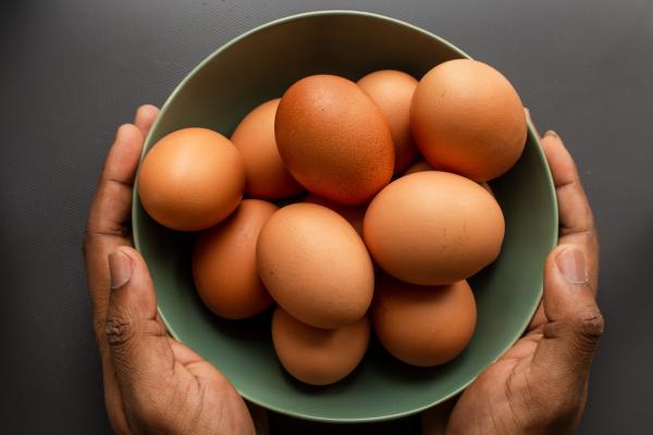 تشمل الأطعمة الخالية من اللاكتوز حليب الصويا والدواجن والبيض المطبوخ - مشاع إبداعي