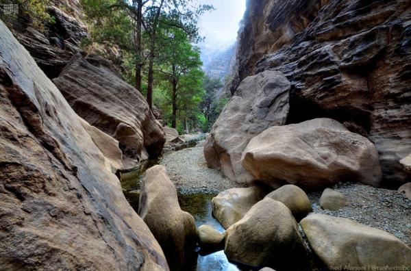 لؤلؤة الجنوب.. استكشف أبرز الأنشطة السياحية في جازان