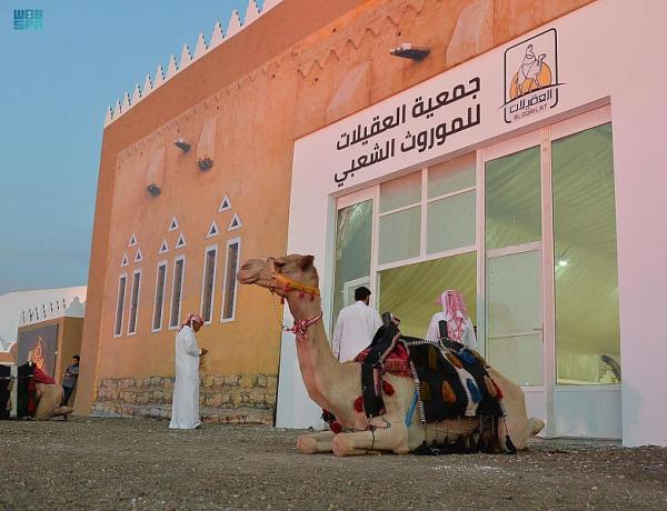 تاريخ العقيلات.. معرض وثائقي مصور لمزاد الإبل