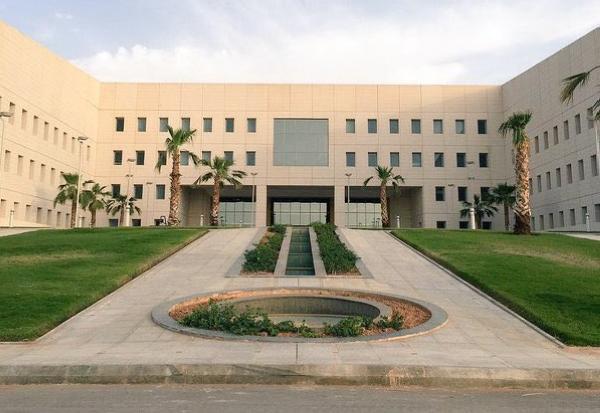 «التعليم»: لجنة خاصة لاختبار الموقوفين بالسجون.. والمرضى في مقار تنويمهم