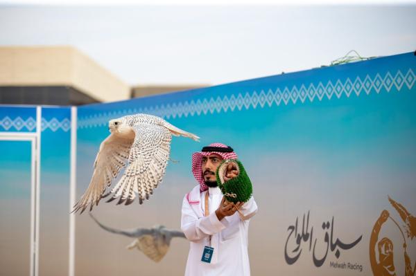 تتويج 60 فائزاً في سباق الملواح بنادي الصقور السعودي