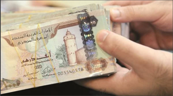 وزارة الموارد البشرية والتوطين تعلن أنه يمكن للمتعاملين استرداد الأرصدة المتبقية في
