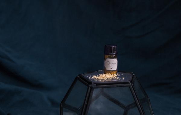 الفيل الأزرق يحتوي على مادة «DMT» ثنائي ميثيل تريبتامين، وهو عبارة عن بودرة بلورية بيضاء أو على شكل حبوب - مشاع إبداعي