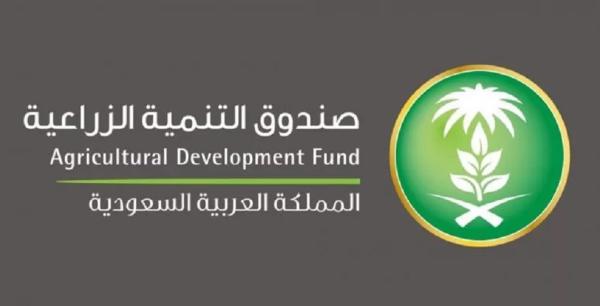'الزراعي' خامسا بالقطاع المالي الاقتصادي في قياس التحول الرقمي