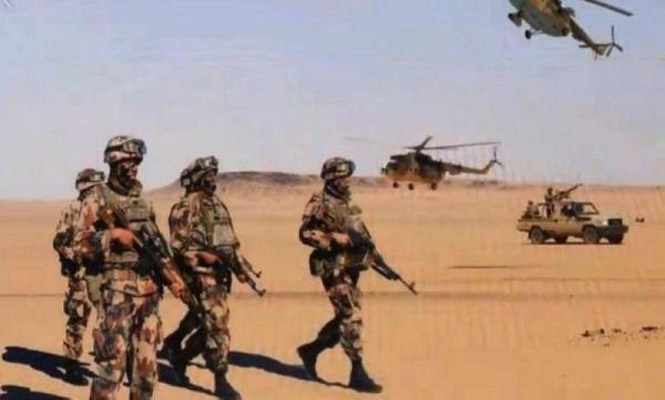 الأمن الجزائري يوقف 239 شخصًا بين مهربين ومهاجرين