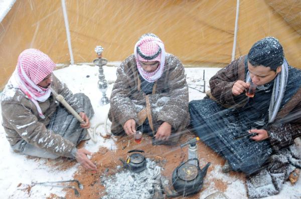 الزائر الأبيض .. موعد منتظر لأهالي منطقة تبوك