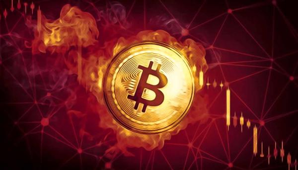 سعر بيتكوين اليوم