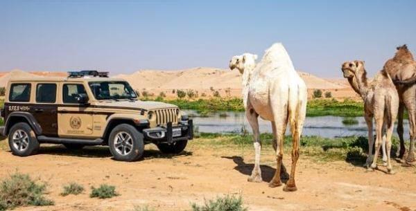 عاجل/ ضبط 8 أشخاص لارتكابهم مخالفات رعي في المحميات الملكية