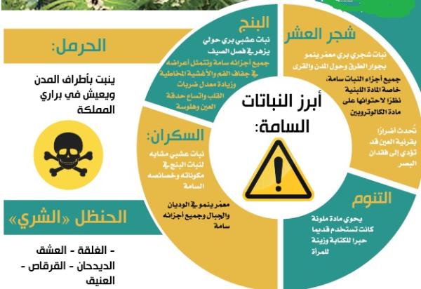 42 نباتا موسميا سامًّا تنتمي إلى 24 فصيلة