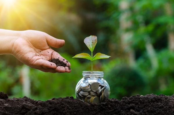 منتجات الاقتصاد الأخضر تتصدر الأسواق العالمية