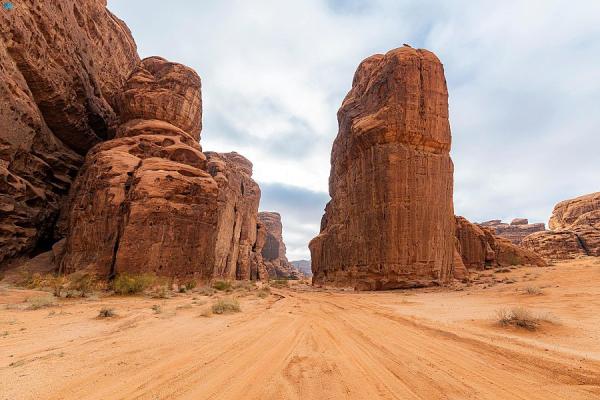 أسهمت عوامل التعرية التي مرت بهذه المنطقة في صنع لوحات جمالية بديعة يندر في العالم مثيلها - واس