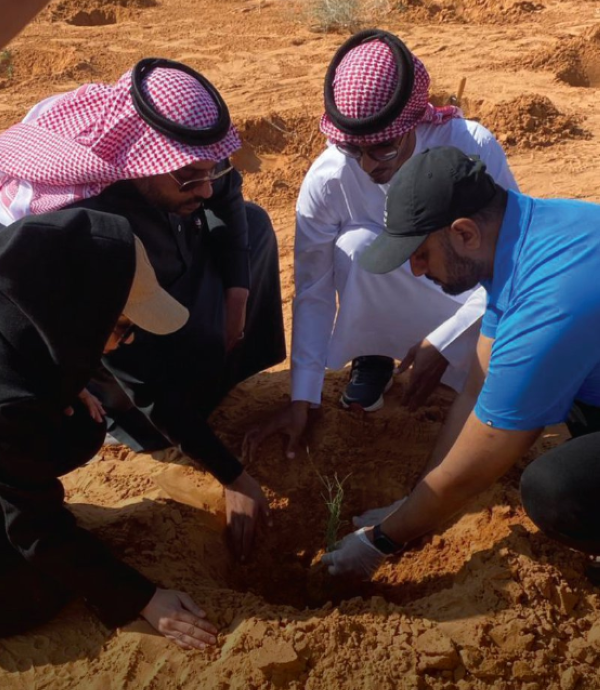 غرس 300 شتلة زراعية - حساب المركز الوطني لتنمية الغطاء النباتي بتويتر