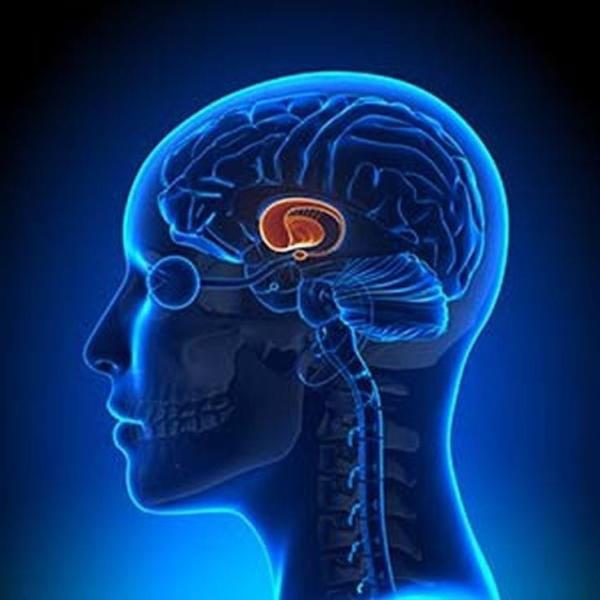 تشوهات الدماغ قد تتسبب في الإصابة بمتلازمة توريت - مشاع إبداعي