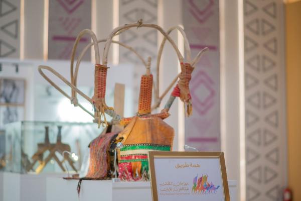 بمهرجان الإبل .. 'الهودج' يعيد إحياء تاريخ زفة النساء ونقل الأثرياء