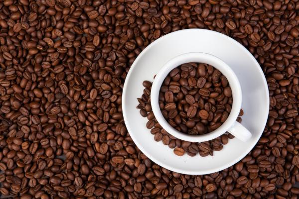 يحفز الكافيين الوظائف الإدراكية بالدماغ - مشاع إبداعي