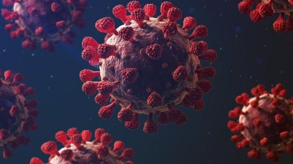 في العام الماضي تسبب الفيروس في وفاة 39444 شخصًا بإسبانيا - مشاع إبداعي