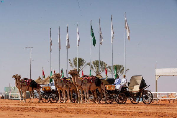 'تم'.. تطبيق يضم 560 مقدم خدمة للمشاركين في مهرجان الإبل