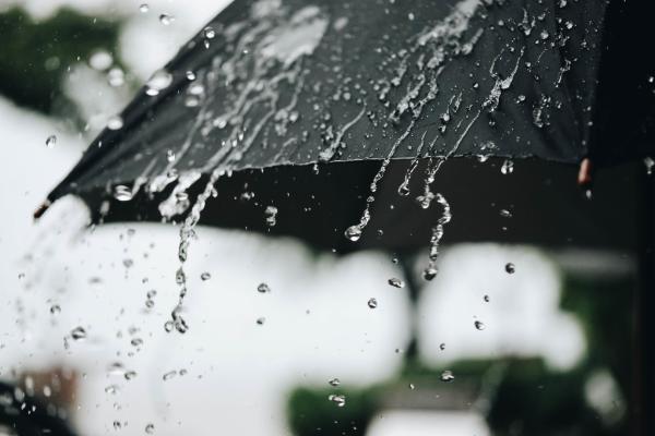هطول أمطار خفيفة إلى متوسطة على الوجه
