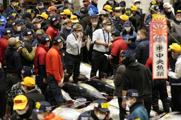 سمكة تونة تباع بمبلغ 36 مليون ين في مزاد بطوكيو