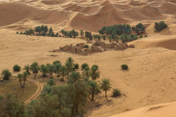 من واحات المذنب في منطقة القصيم - وزارة السياحة على تويتر